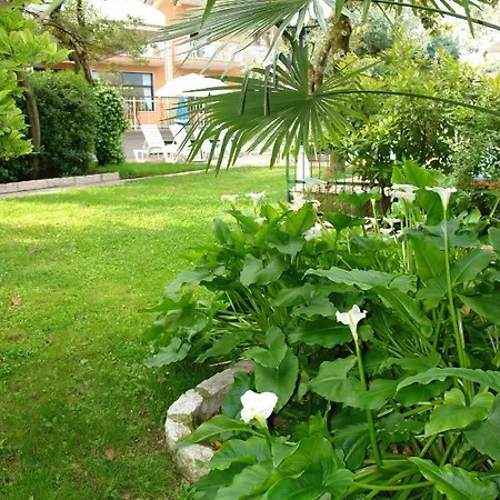 Alpi Hotel
